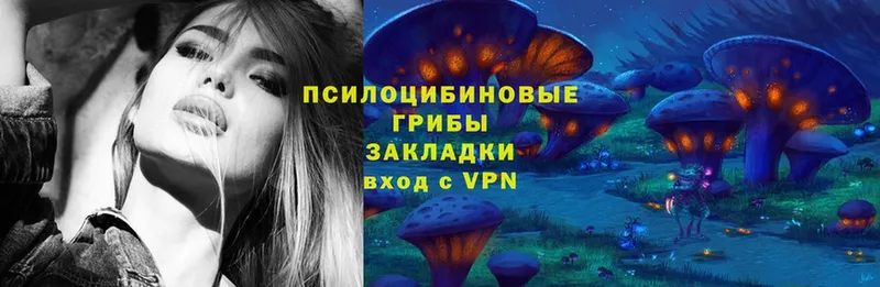 Псилоцибиновые грибы Magic Shrooms  ОМГ ОМГ tor  Кремёнки  где купить  